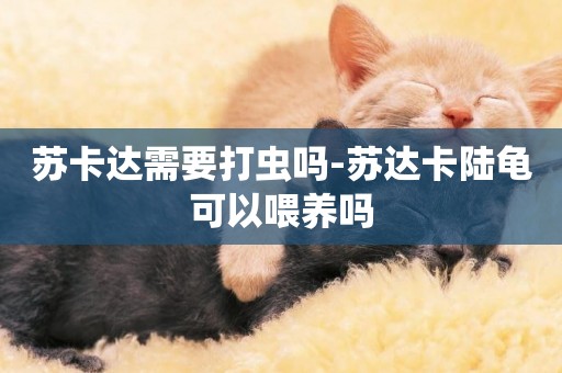 蘇卡達需要打蟲嗎-蘇達卡陸龜可以喂養嗎