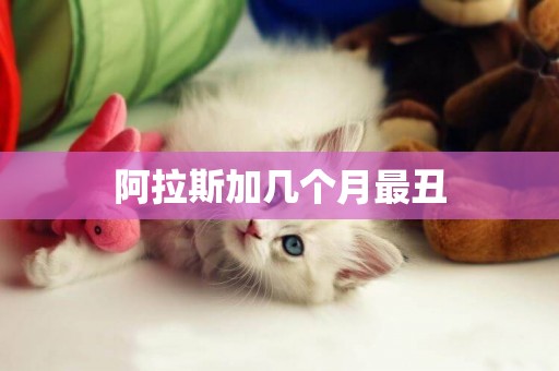 阿拉斯加幾個月最丑