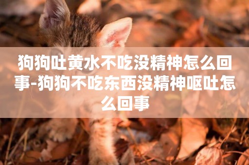 狗狗吐黃水不吃沒精神怎么回事-狗狗不吃東西沒精神嘔吐怎么回事