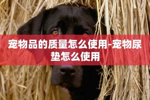 寵物品的質量怎么使用-寵物尿墊怎么使用