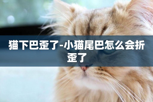 貓下巴歪了-小貓尾巴怎么會折歪了