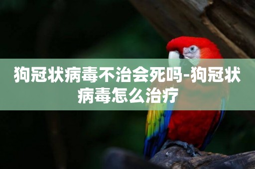 狗冠狀病毒不治會死嗎-狗冠狀病毒怎么治療