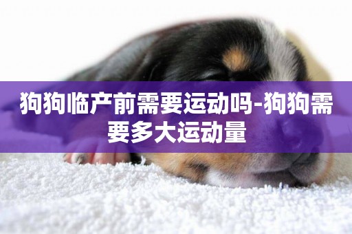 狗狗臨產前需要運動嗎-狗狗需要多大運動量