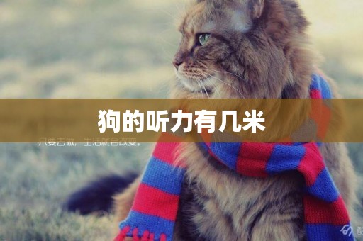 狗的聽力有幾米