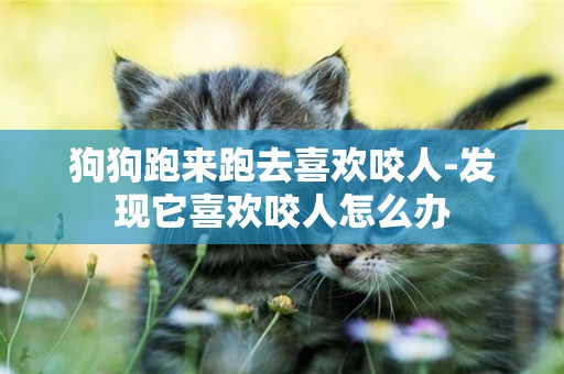 狗狗跑來跑去喜歡咬人-發現它喜歡咬人怎么辦