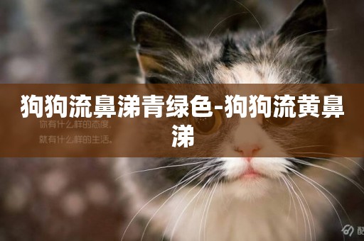 狗狗流鼻涕青綠色-狗狗流黃鼻涕