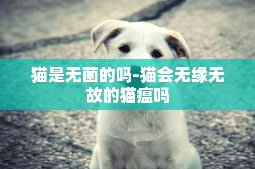 貓是無菌的嗎-貓會無緣無故的貓瘟嗎