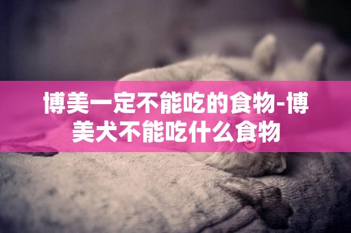 博美一定不能吃的食物-博美犬不能吃什么食物