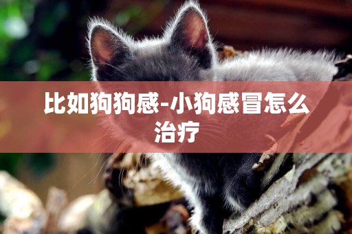 比如狗狗感-小狗感冒怎么治療