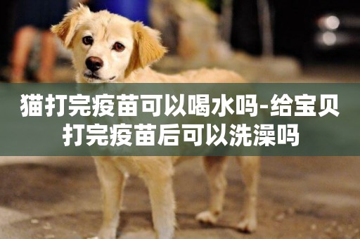 貓打完疫苗可以喝水嗎-給寶貝打完疫苗后可以洗澡嗎