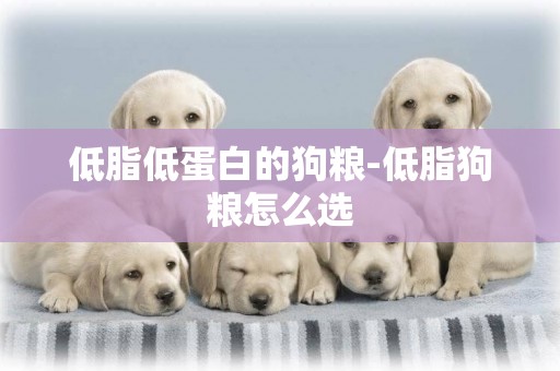 低脂低蛋白的狗糧-低脂狗糧怎么選