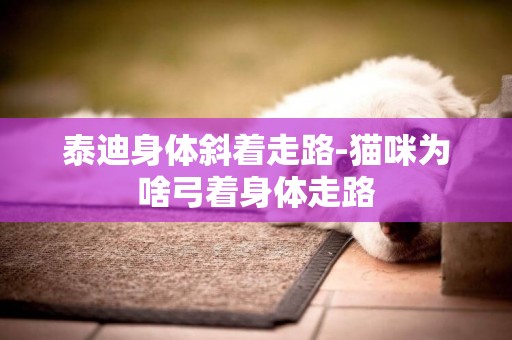 泰迪身體斜著走路-貓咪為啥弓著身體走路