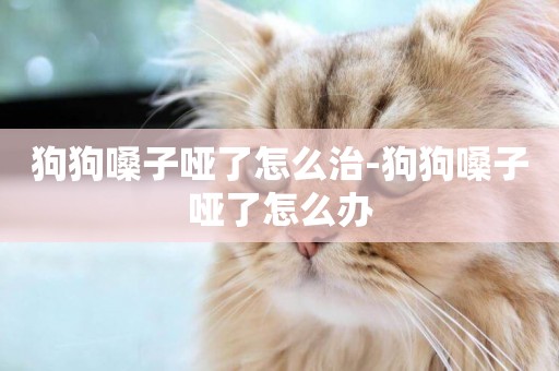 狗狗嗓子啞了怎么治-狗狗嗓子啞了怎么辦
