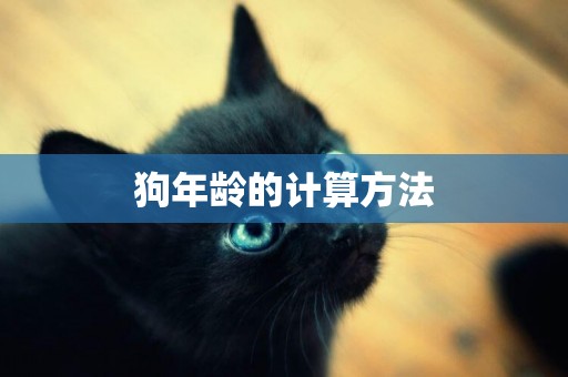 狗年齡的計算方法