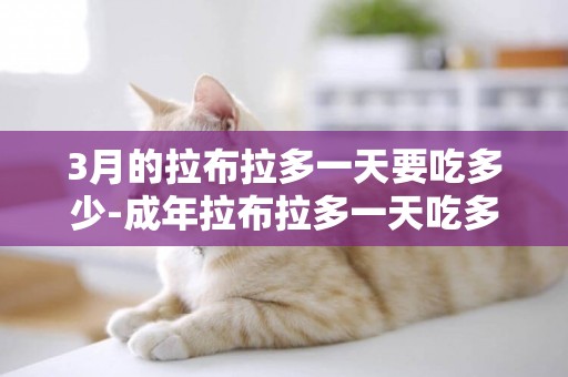 3月的拉布拉多一天要吃多少-成年拉布拉多一天吃多少狗糧
