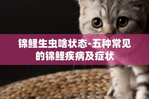 錦鯉生蟲啥狀態-五種常見的錦鯉疾病及癥狀