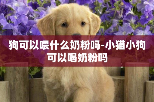 狗可以喂什么奶粉嗎-小貓小狗可以喝奶粉嗎
