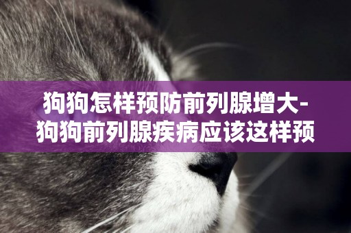 狗狗怎樣預防前列腺增大-狗狗前列腺疾病應該這樣預防和治療
