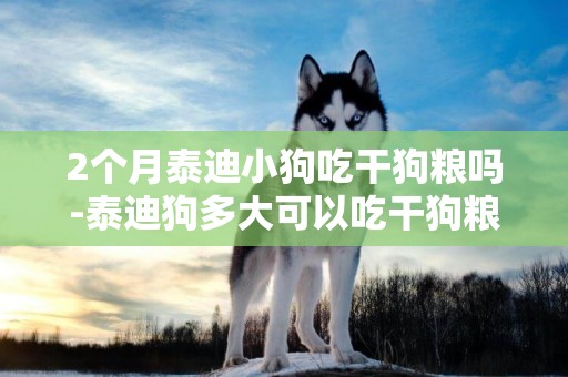 2個月泰迪小狗吃干狗糧嗎-泰迪狗多大可以吃干狗糧