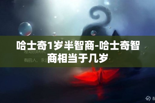 哈士奇1歲半智商-哈士奇智商相當于幾歲