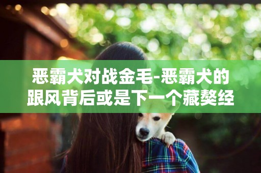 惡霸犬對戰金毛-惡霸犬的跟風背后或是下一個藏獒經濟泡沫