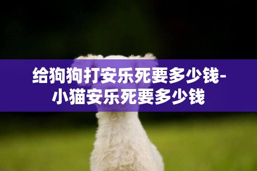 給狗狗打安樂死要多少錢-小貓安樂死要多少錢