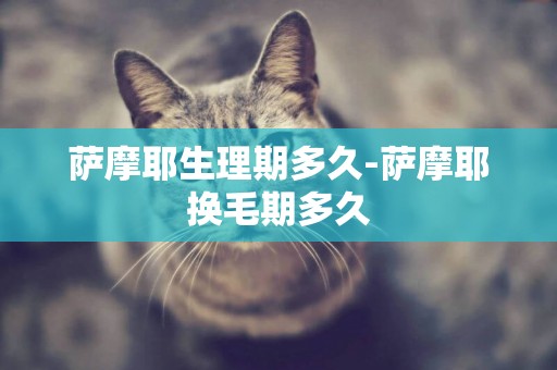 薩摩耶生理期多久-薩摩耶換毛期多久
