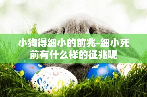 小狗得細小的前兆-細小死前有什么樣的征兆呢