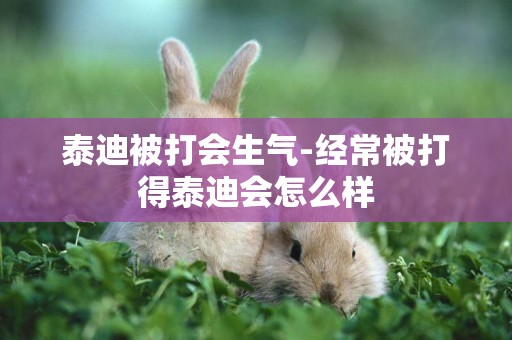 泰迪被打會生氣-經常被打得泰迪會怎么樣