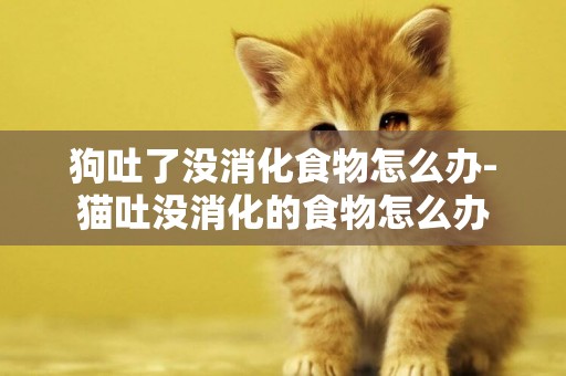狗吐了沒消化食物怎么辦-貓吐沒消化的食物怎么辦