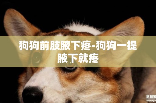 狗狗前肢腋下疼-狗狗一提腋下就疼