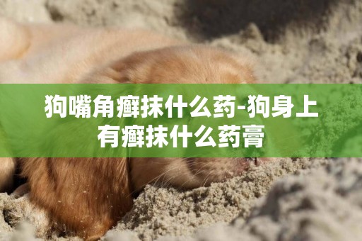 狗嘴角癬抹什么藥-狗身上有癬抹什么藥膏