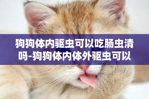 狗狗體內驅蟲可以吃腸蟲清嗎-狗狗體內體外驅蟲可以一起進行嗎