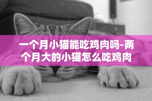 一個月小貓能吃雞肉嗎-兩個月大的小貓怎么吃雞肉