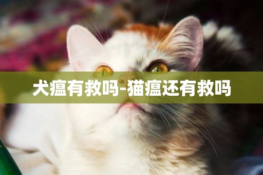 犬瘟有救嗎-貓瘟還有救嗎
