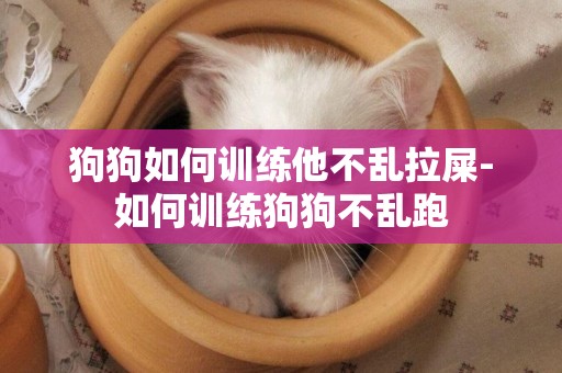 狗狗如何訓練他不亂拉屎-如何訓練狗狗不亂跑