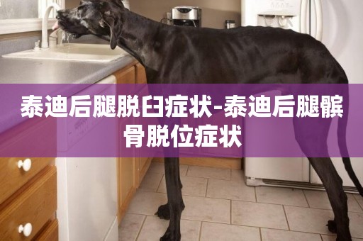 泰迪后腿脫臼癥狀-泰迪后腿髕骨脫位癥狀