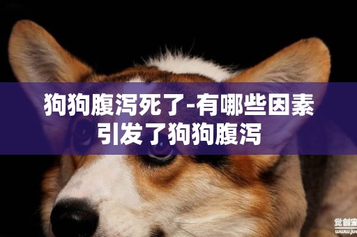 狗狗腹瀉死了-有哪些因素引發了狗狗腹瀉