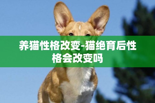 養貓性格改變-貓絕育后性格會改變嗎