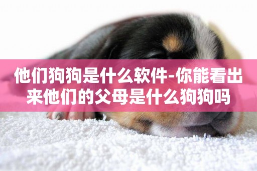 他們狗狗是什么軟件-你能看出來他們的父母是什么狗狗嗎