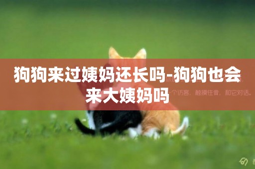 狗狗來過姨媽還長嗎-狗狗也會來大姨媽嗎