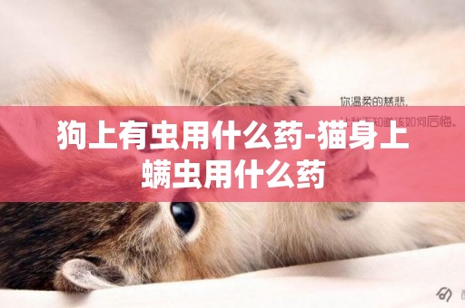 狗上有蟲用什么藥-貓身上螨蟲用什么藥