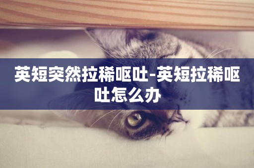 英短突然拉稀嘔吐-英短拉稀嘔吐怎么辦