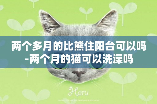 兩個多月的比熊住陽臺可以嗎-兩個月的貓可以洗澡嗎