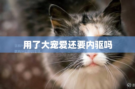 用了大寵愛還要內驅嗎