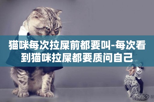 貓咪每次拉屎前都要叫-每次看到貓咪拉屎都要質問自己