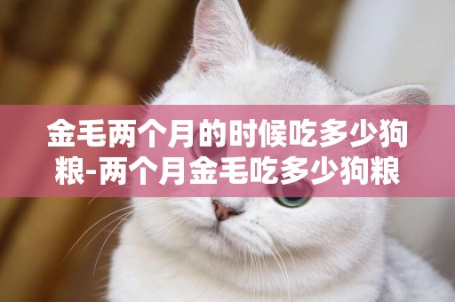 金毛兩個月的時候吃多少狗糧-兩個月金毛吃多少狗糧