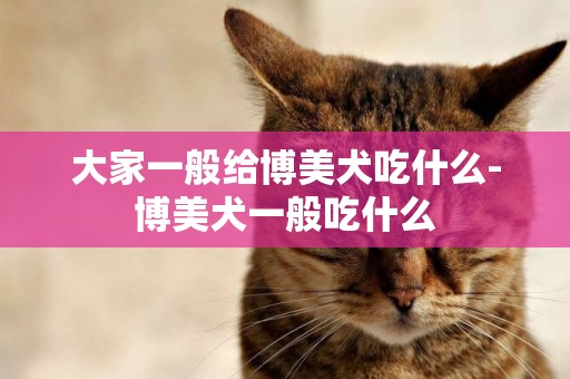大家一般給博美犬吃什么-博美犬一般吃什么