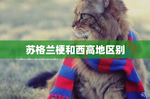 蘇格蘭梗和西高地區別