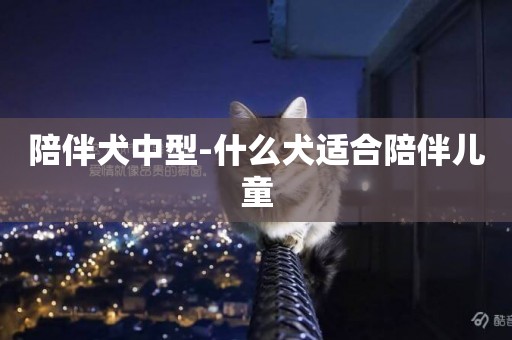 陪伴犬中型-什么犬適合陪伴兒童